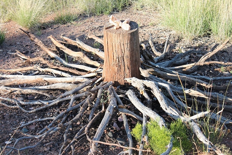 What is Earth Magic  twig altar