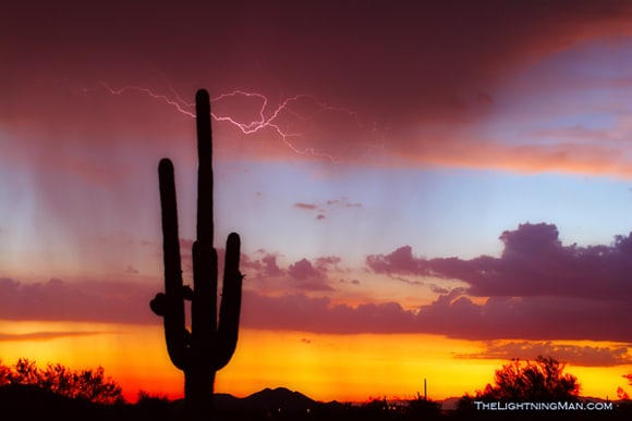 Lightning Saguaro Sunset