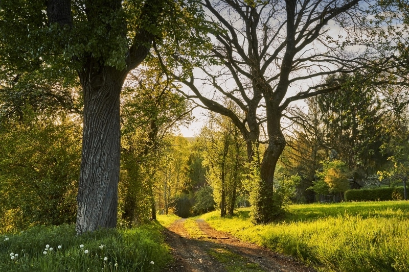 psychic energy walking