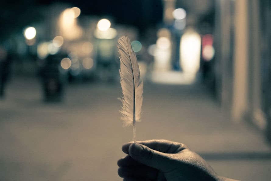 signs and symbols feather